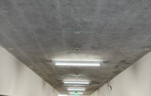愛知県名古屋市昭和区　医療施設　天井ジプトーン除カビ処理、空間噴霧除菌施工