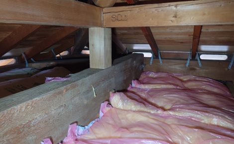 愛知県知多市　戸建て　天井裏小屋スペース　除カビ処理施工