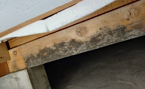 愛知県名古屋市港区　戸建て床下除カビ除菌施工