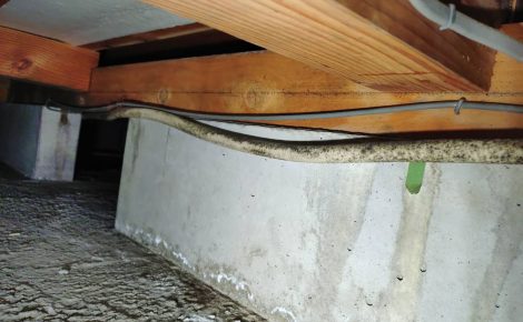 愛知県名古屋市港区　戸建て床下除カビ除菌施工