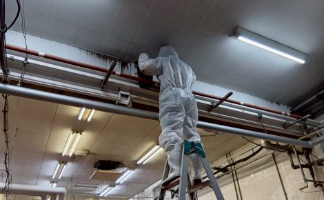 愛知県豊田市　某食品工場　工場内カビ除去施工　HACCP基準