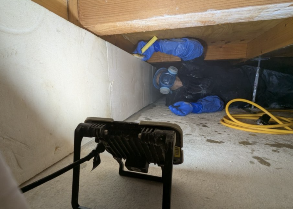 新築なのに床下カビだらけ？クレームに発展する前に知るべきこと